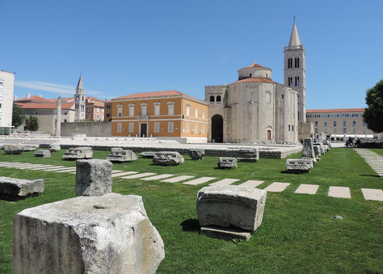 Apartman Olive Garden Zadar Dış mekan fotoğraf