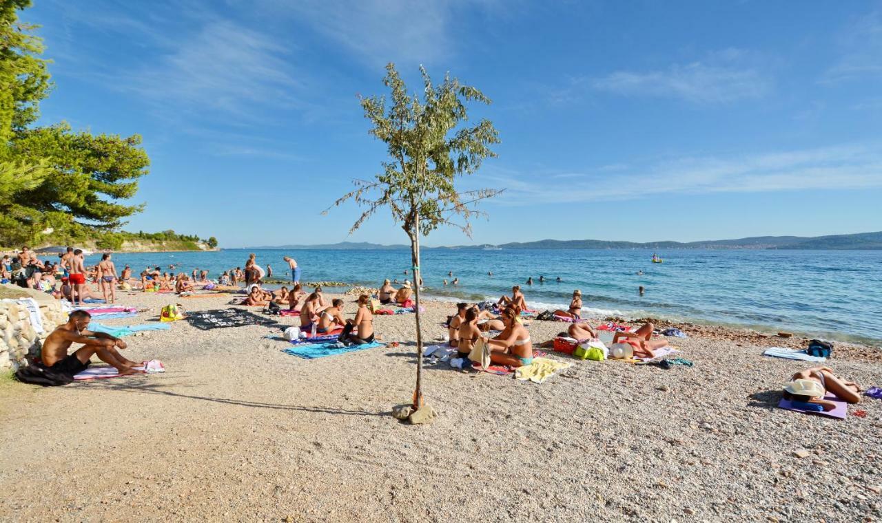 Apartman Olive Garden Zadar Dış mekan fotoğraf